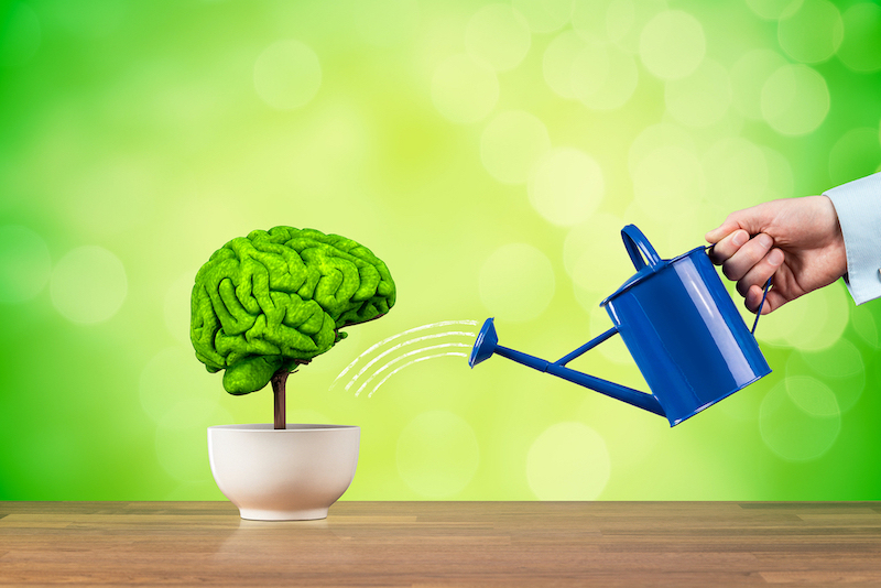 Watering can providing water for a brain to grow holistically and spiritually through therapy for anxiety in Florida. Online therapy in Florida from a skilled online counselor can help with anxiety treatment in St. Petersburg, FL.