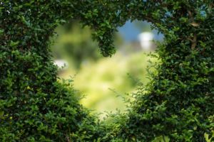 Heart in the landscaping. Get support and care with online therapy in Florida from a therapist in St. Petersburg, FL for anxiety, depression, trauma, sex therapy, relationships, couples, maternal mental health and more.