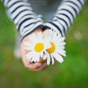 Child holding daises in hands. You can get online therapy in Florida with a St. Petersburg therapist for anxiety, spiritual couples therapy, kink-friendly therapy and more here.