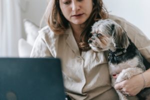 Dog and owner on laptop in bedroom. You can get Online Therapy in Florida with therapist in st petersburg fl here!