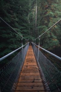Swinging bridge. Trauma Therapy in St. Petersburg, FL can help with online therapy in Florida. A therapist in St. Pete can help with trauma treatment and online couples therapy in florida.