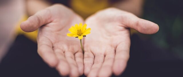 how trauma shows up in the body